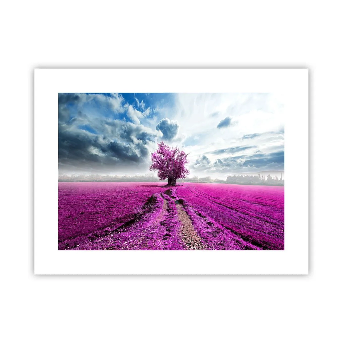 Poster - Brughiera selvatica - 40x30 cm