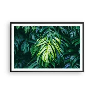 Poster in cornice nera - Immergersi nella freschezza - 91x61 cm