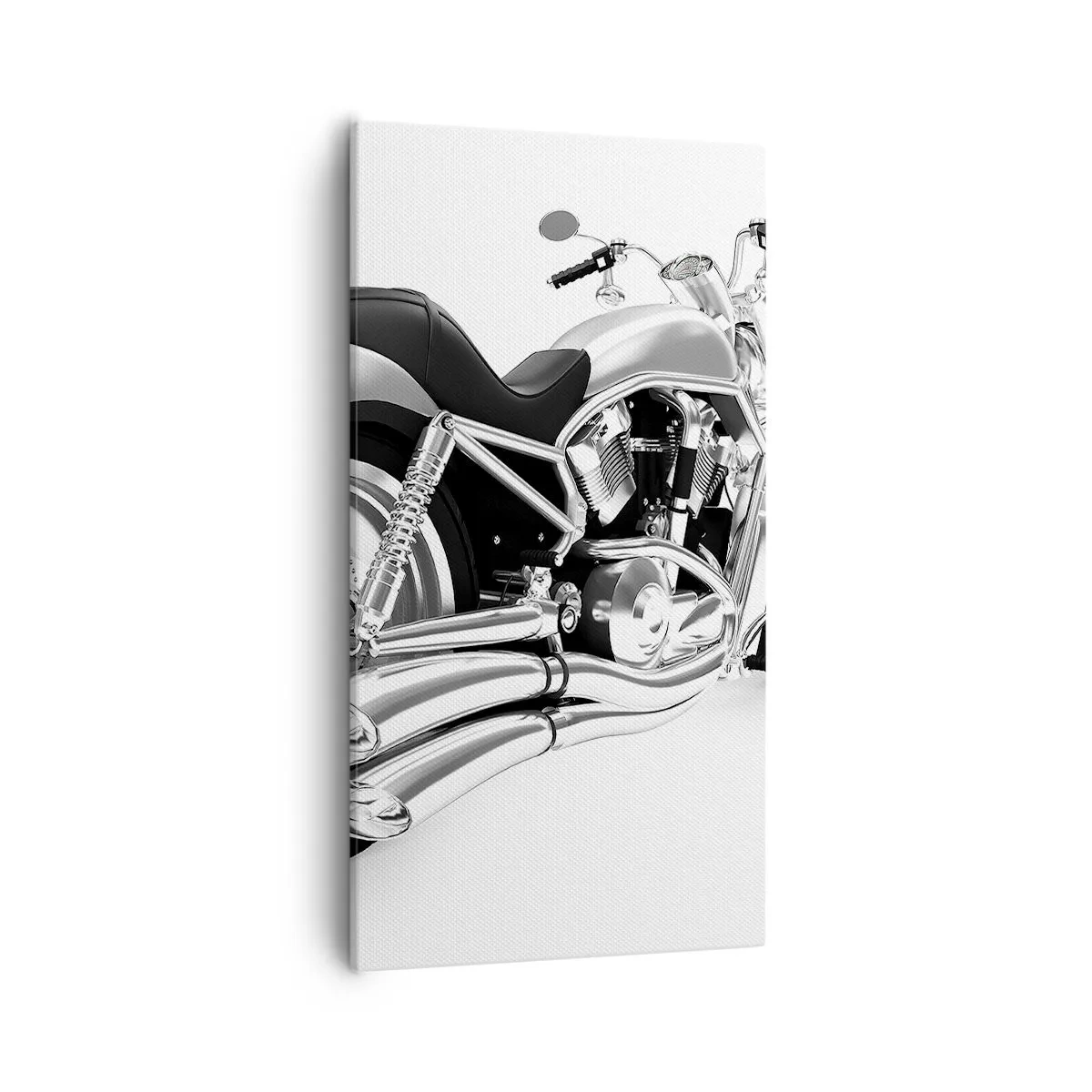 Quadro su tela - Stampe su Tela - Il sogno del collezionista - 55x100 cm