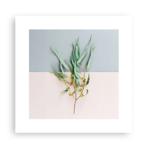 Poster - Delicatezza pastello - 30x30 cm