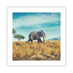 Poster - Il grigio non è più di moda - 40x40 cm