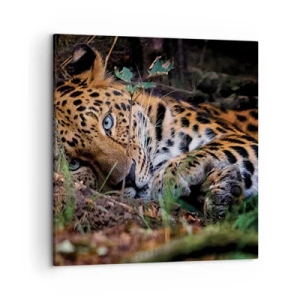 Quadro su tela - Stampe su Tela - Fidati di me - 50x50 cm