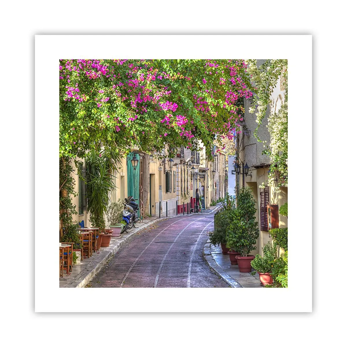 Poster - Angolo fiorito - 40x40 cm