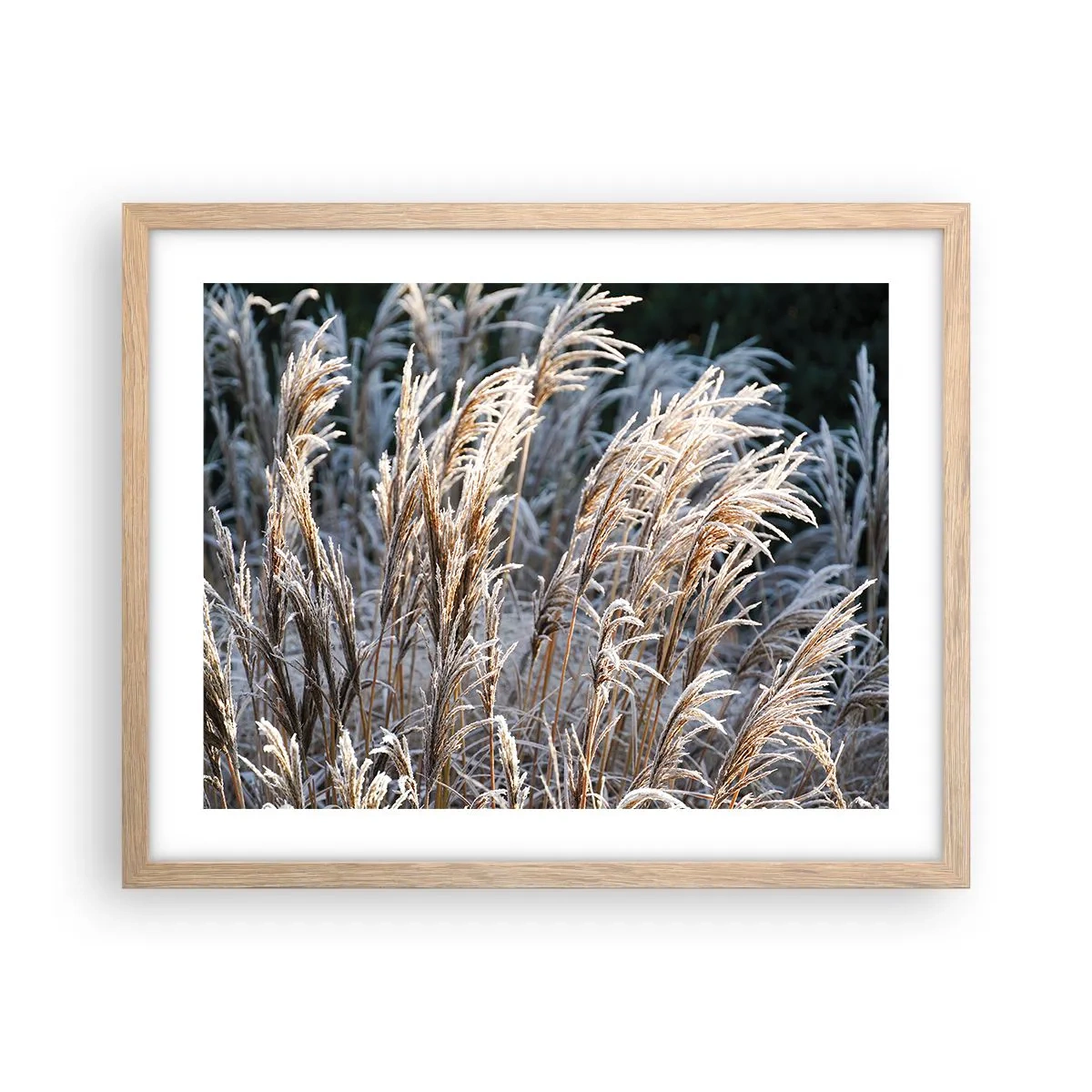 Poster in cornice rovere chiaro - Vestite di brina - 50x40 cm