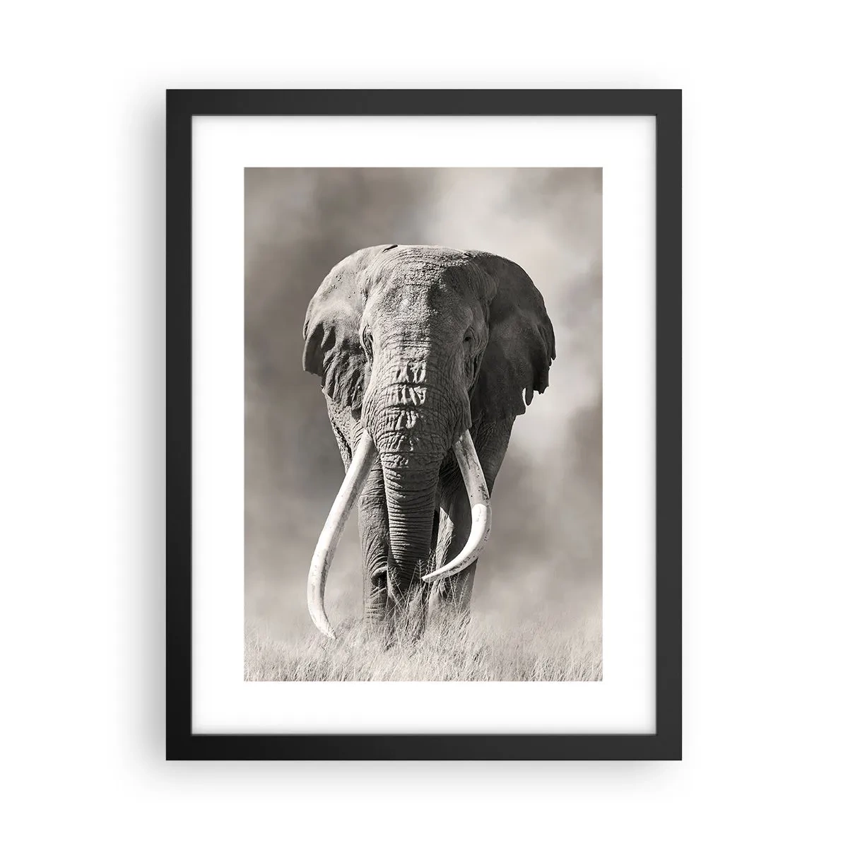 Poster in cornice nera - Patriarca africano - 30x40 cm