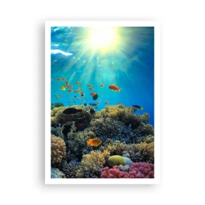 Poster - Tesori sotto al mare - 70x100 cm