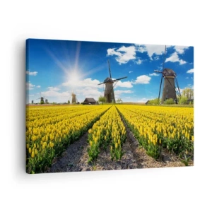 Quadro su tela - Stampe su Tela - Un campo di tulipani gialli con mulini a vento all'orizzonte - 70x50cm - Più olandesi di così non si può - Decorazione murale moderna per soggiorno e camera da letto ARTTOR
