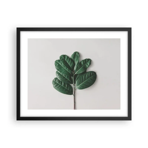 Poster in cornice nera - Il disegno della natura stessa - 50x40 cm