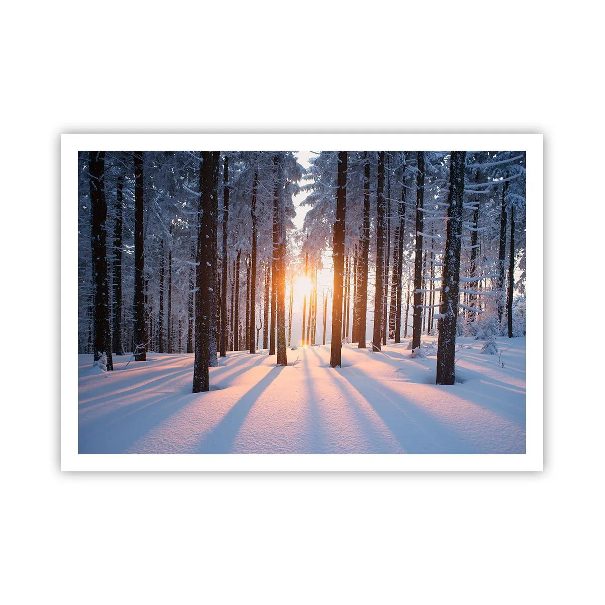 Poster - Foresta invernale illuminata dai raggi del sole - 100x70cm - Decisamente nero su bianco - Decorazione murale moderna per soggiorno e camera da letto ARTTOR