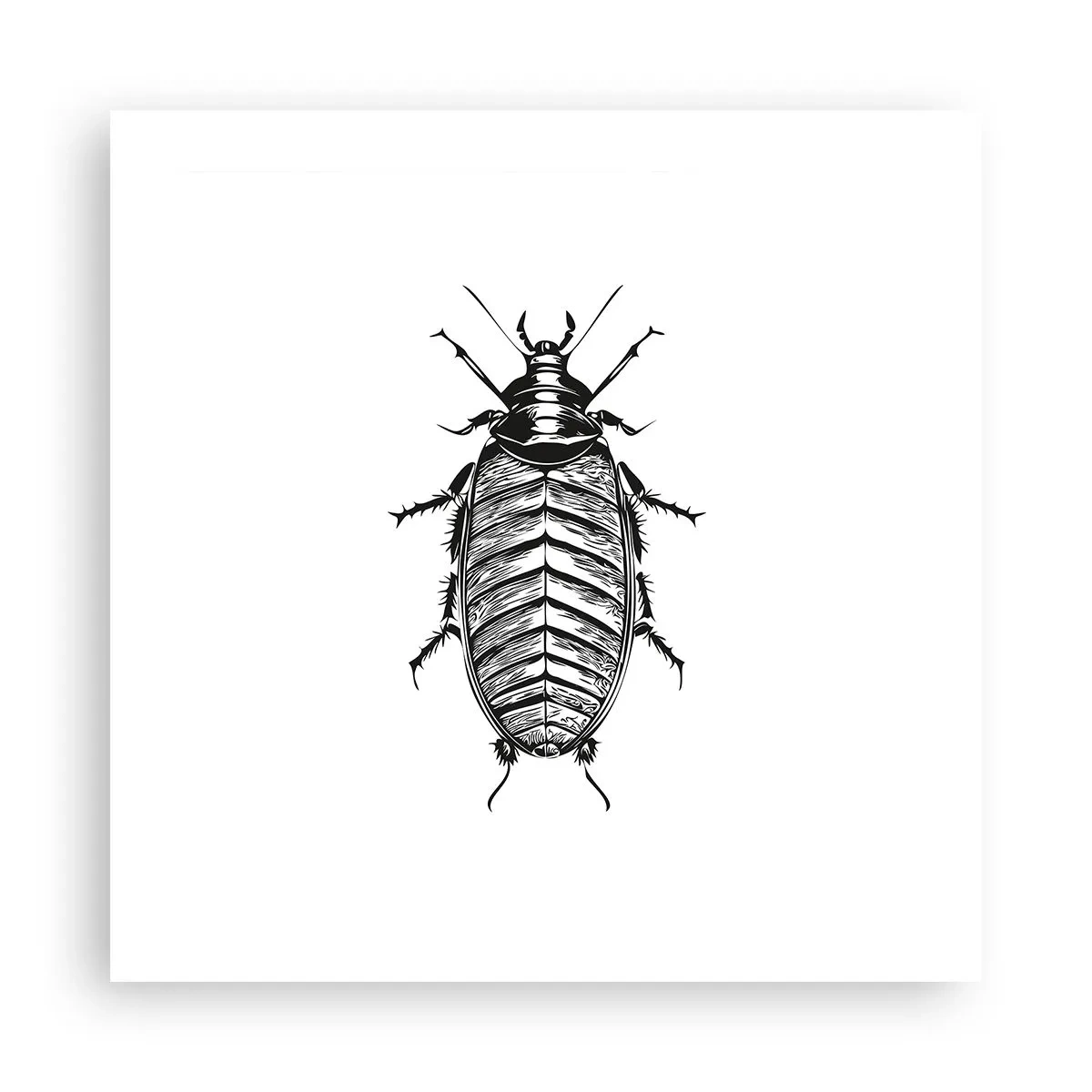 Poster - Che esemplare! - 50x50 cm