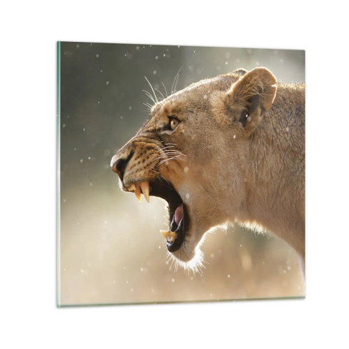 Quadro su vetro - Prova a non ascoltare - 70x70 cm