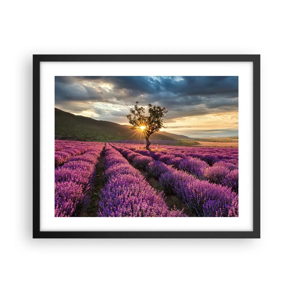 Poster in cornice nera - Aroma di colore lilla - 50x40 cm