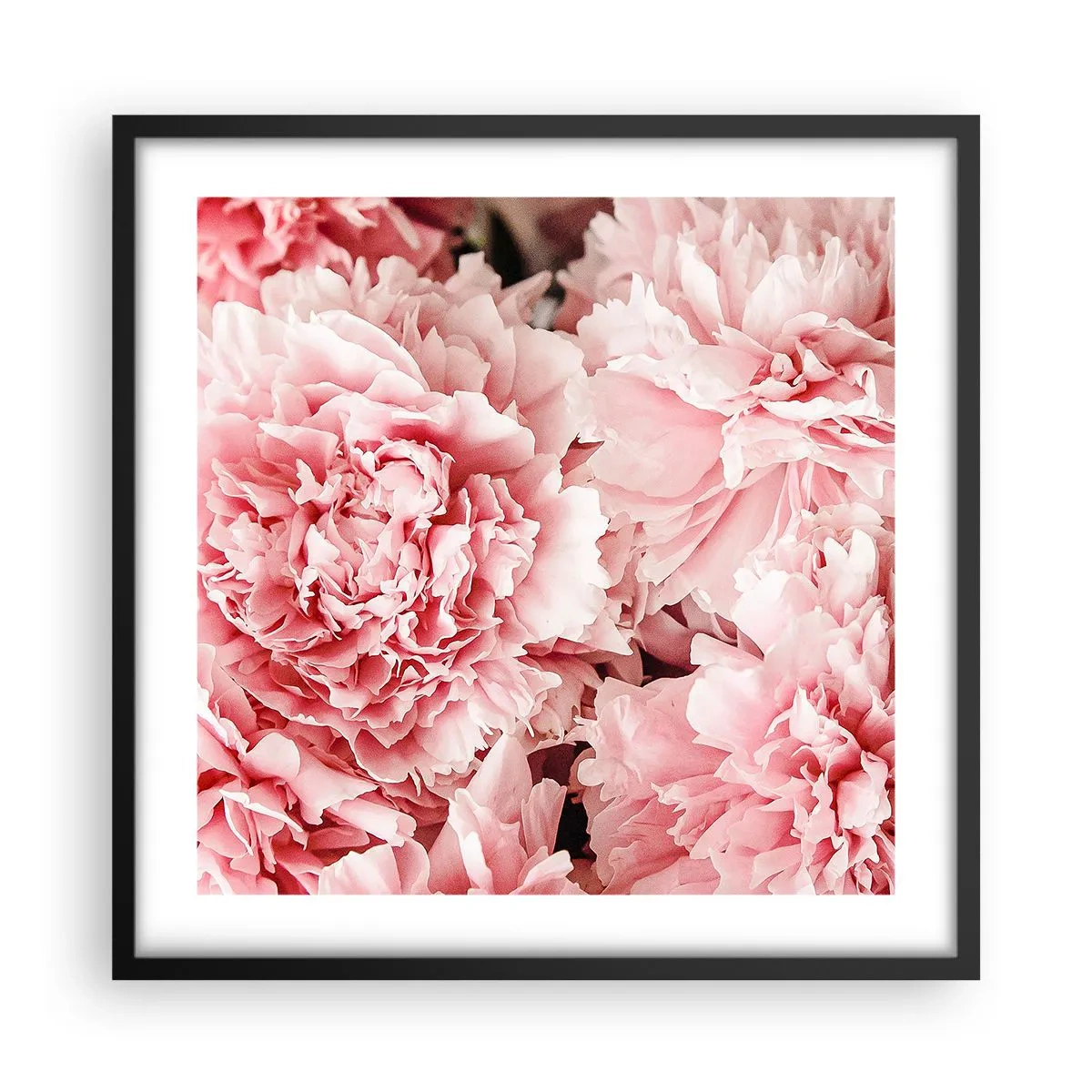 Poster in cornice nera - Sogno rosa - 50x50 cm