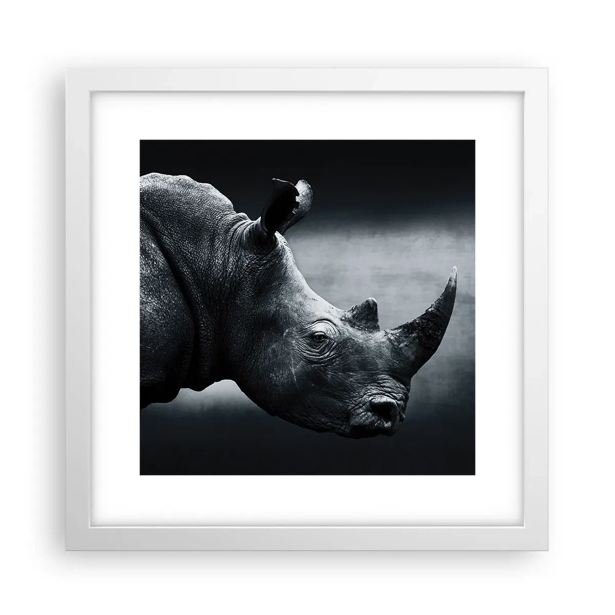 Poster in cornice bianca - Profilo destro - 30x30 cm