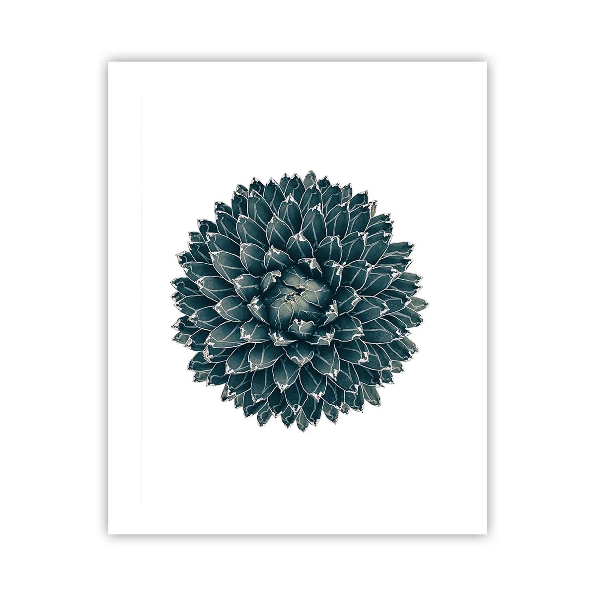 Poster - La stella del deserto - 40x50 cm