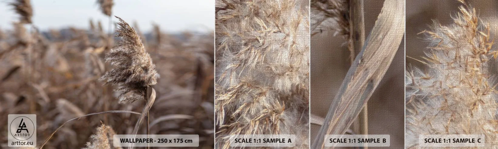 Campione di Fotomurale Premium Canvas - è tempo di volare col vento - Prato, Erba della Pampa, Natura - 100x30 cm