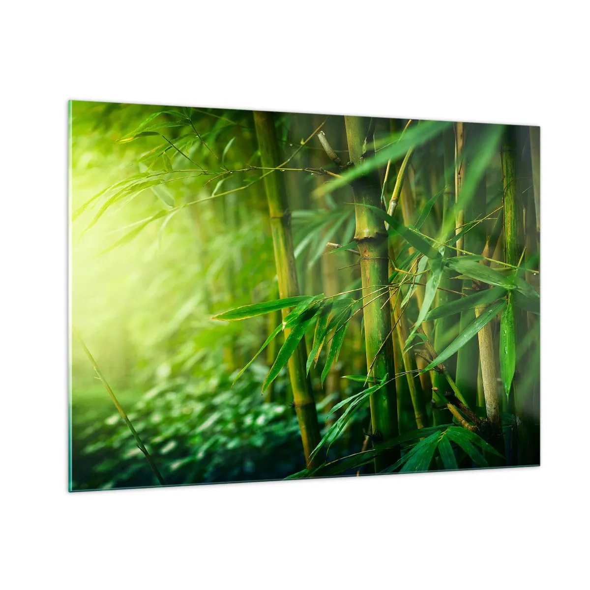 Quadro su vetro - Foresta di bambù verde al sole - 100x70cm - Conoscere il verde in sé - Decorazione murale moderna per soggiorno e camera da letto ARTTOR