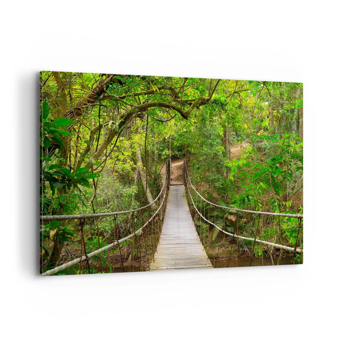 Quadro su tela - Stampe su Tela - Un ponte sospeso circondato da una foresta pluviale verde - 120x80cm - Perché nel giardino crescono i rampicanti - Decorazione murale moderna per soggiorno e camera da letto ARTTOR