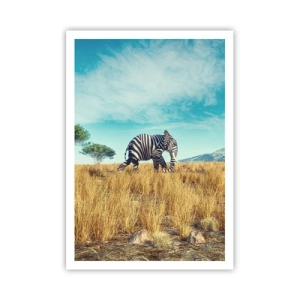 Poster - Il grigio non è più di moda - 70x100 cm