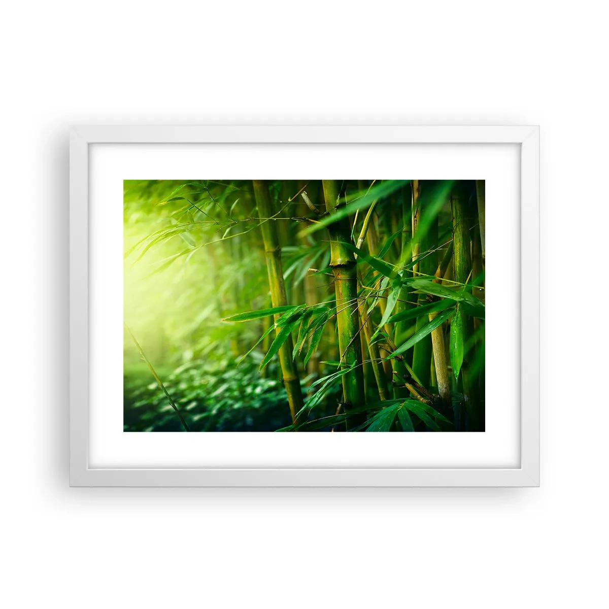 Poster in cornice bianca - Conoscere il verde in sé - 40x30 cm