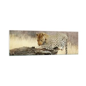 Quadro su vetro - Un leopardo che riposa sul tronco di un albero nella savana - 160x50cm - Vado per la mia strada - Decorazione murale moderna per soggiorno e camera da letto ARTTOR