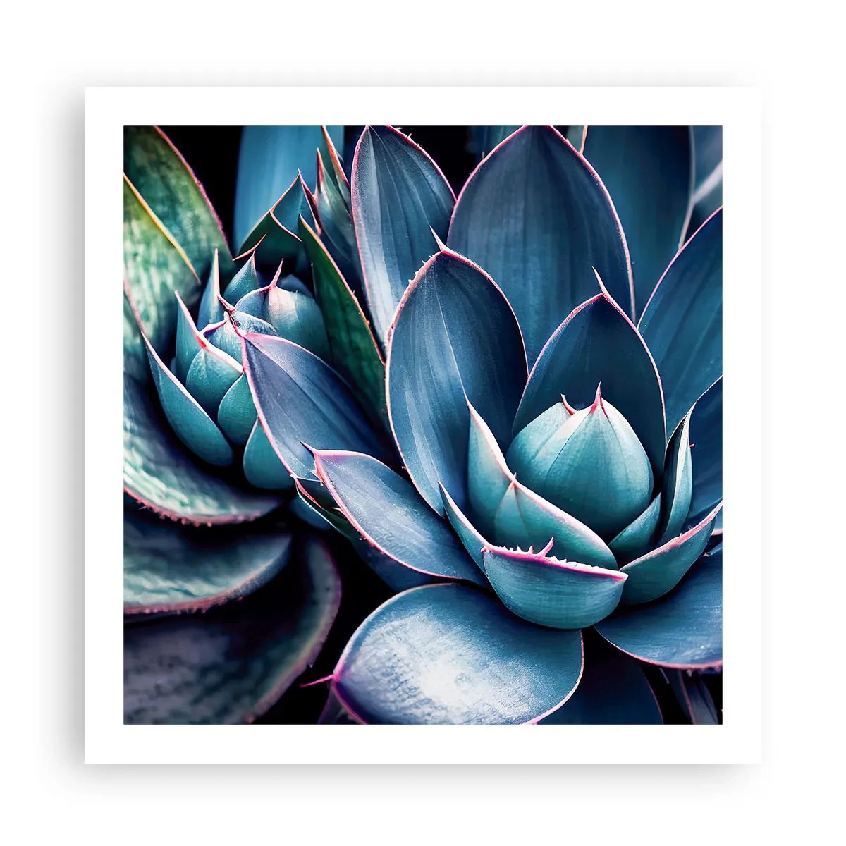 Poster - Forza vitale - 60x60 cm