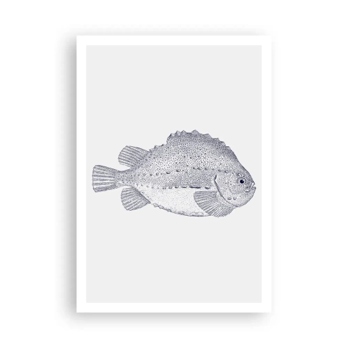 Poster - Nell'album del naturalista - 70x100 cm