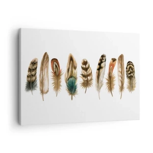 Quadro su tela - Stampe su Tela - Motivo decorativo di una raccolta di piume varie - 70x50cm - Composizione di piume - Decorazione murale moderna per soggiorno e camera da letto ARTTOR