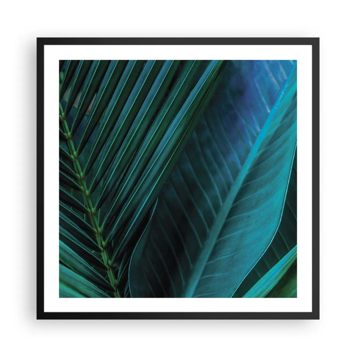 Poster in cornice nera - Anatomia del verde - 60x60 cm