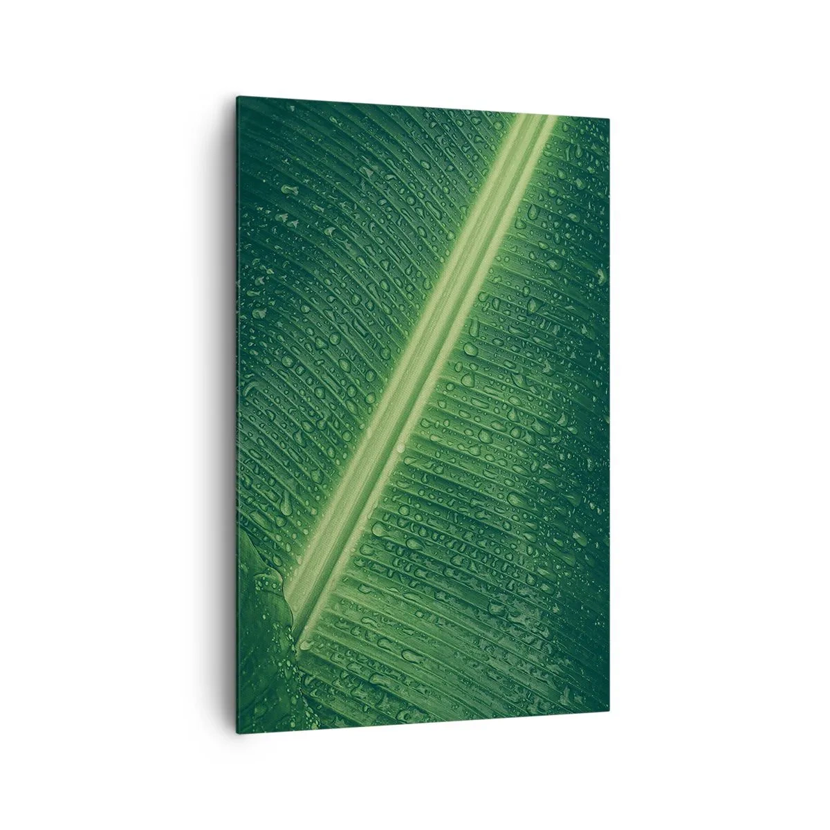 Quadro su tela - Stampe su Tela - Una foglia verde con gocce d'acqua sulla sua superficie - 80x120cm - La struttura del verde - Decorazione murale moderna per soggiorno e camera da letto ARTTOR