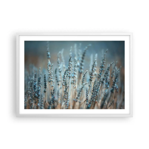 Poster in cornice bianca - Campo profumato - 70x50 cm