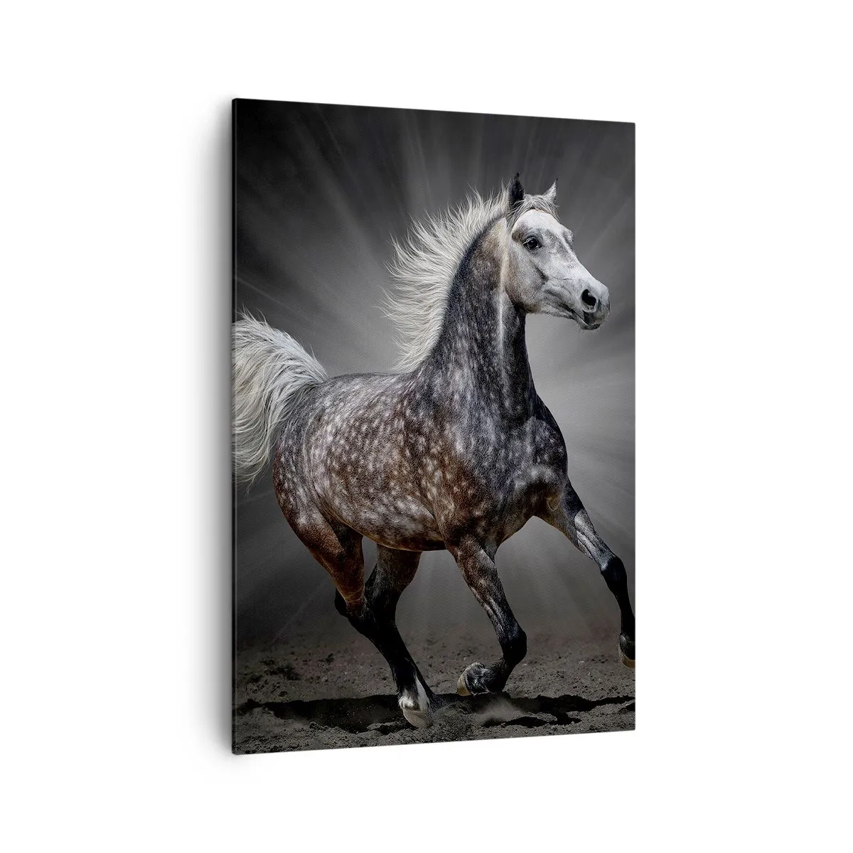 Quadro su tela - Stampe su Tela - Un cavallo bianco al galoppo su uno sfondo scuro - 70x100cm - Grigio è bello - Decorazione murale moderna per soggiorno e camera da letto ARTTOR