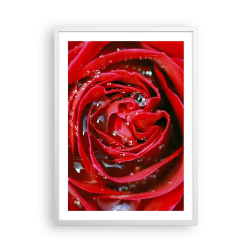 Poster in cornice bianca - Nelle gocce della rugiada - 50x70 cm