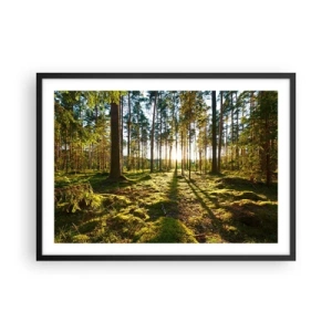 Poster in cornice nera - Foresta verde illuminata dalla luce del sole sul muschio - 70x50cm - …dopo sette foreste - Decorazione murale moderna per soggiorno e camera da letto ARTTOR