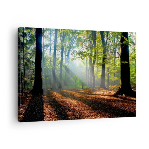 Quadro su tela - Stampe su Tela - Una radura della foresta illuminata dai raggi del sole - 70x50cm - Luci e ombre - Decorazione murale moderna per soggiorno e camera da letto ARTTOR
