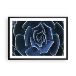 Poster in cornice nera - Primo piano di una rosetta succulenta verde - 70x50cm - Fiore del deserto - Decorazione murale moderna per soggiorno e camera da letto ARTTOR