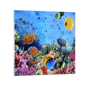 Quadro su vetro - Ma cosa sappiamo della vita... - 60x60 cm