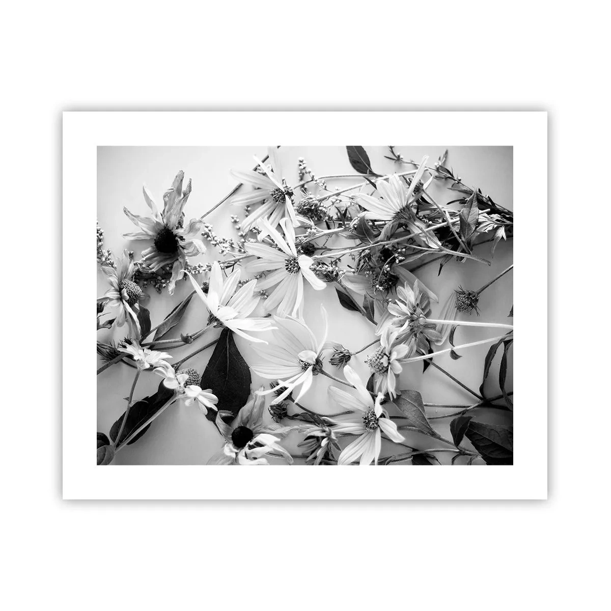 Poster - Un non bouquet di fiori - 50x40 cm