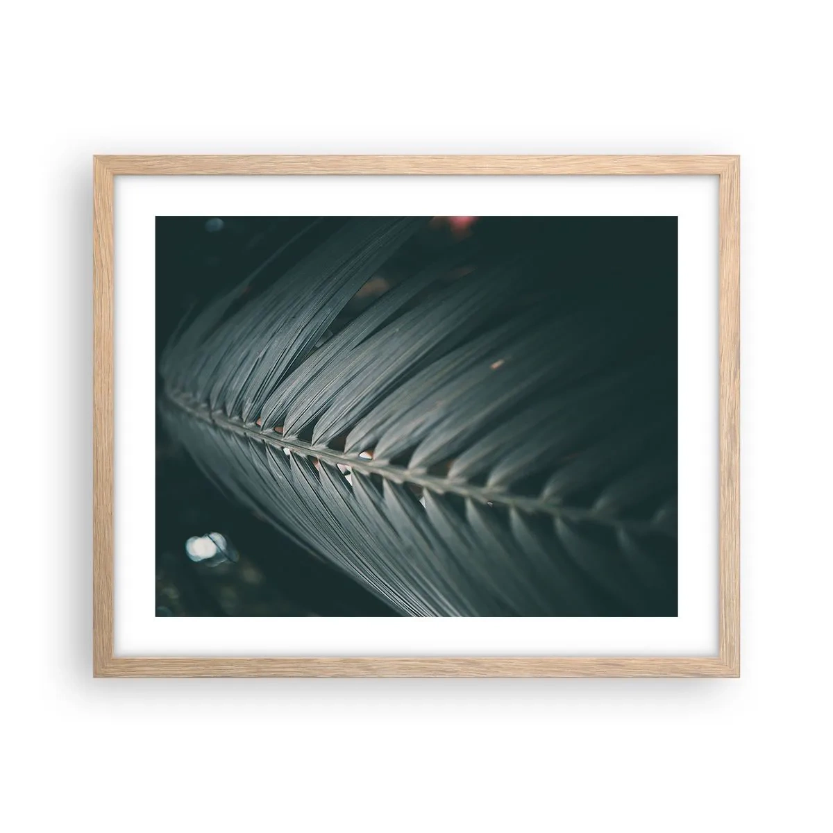 Poster in cornice rovere chiaro - La precisione della natura - 50x40 cm