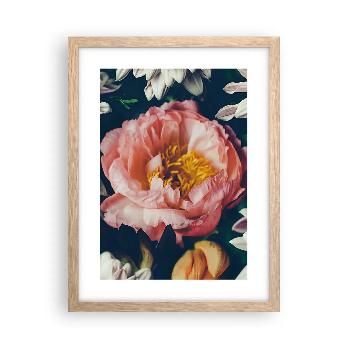 Poster in cornice rovere chiaro - Con fasto barocco - 30x40 cm