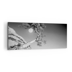 Quadro su tela - Stampe su Tela - Albero bianco e nero su una scogliera con la luna sullo sfondo - 120x50cm - Guerriera vittoriosa  - Decorazione murale moderna per soggiorno e camera da letto ARTTOR
