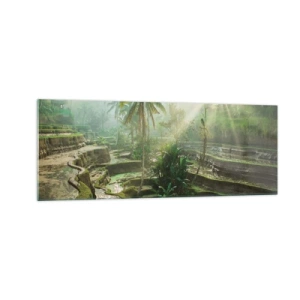 Quadro su vetro - Terrazze di riso con palme sotto i raggi del sole - 140x50cm - Crescere al sole - Decorazione murale moderna per soggiorno e camera da letto ARTTOR