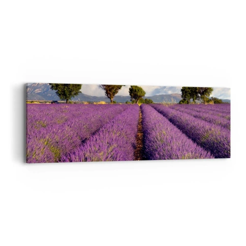 Quadro su tela - Stampe su Tela - Campi di lavanda - 90x30 cm