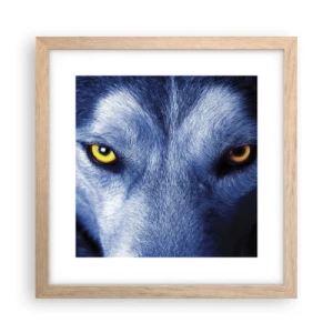 Poster in cornice rovere chiaro - Sguardo ipnotico - 30x30 cm