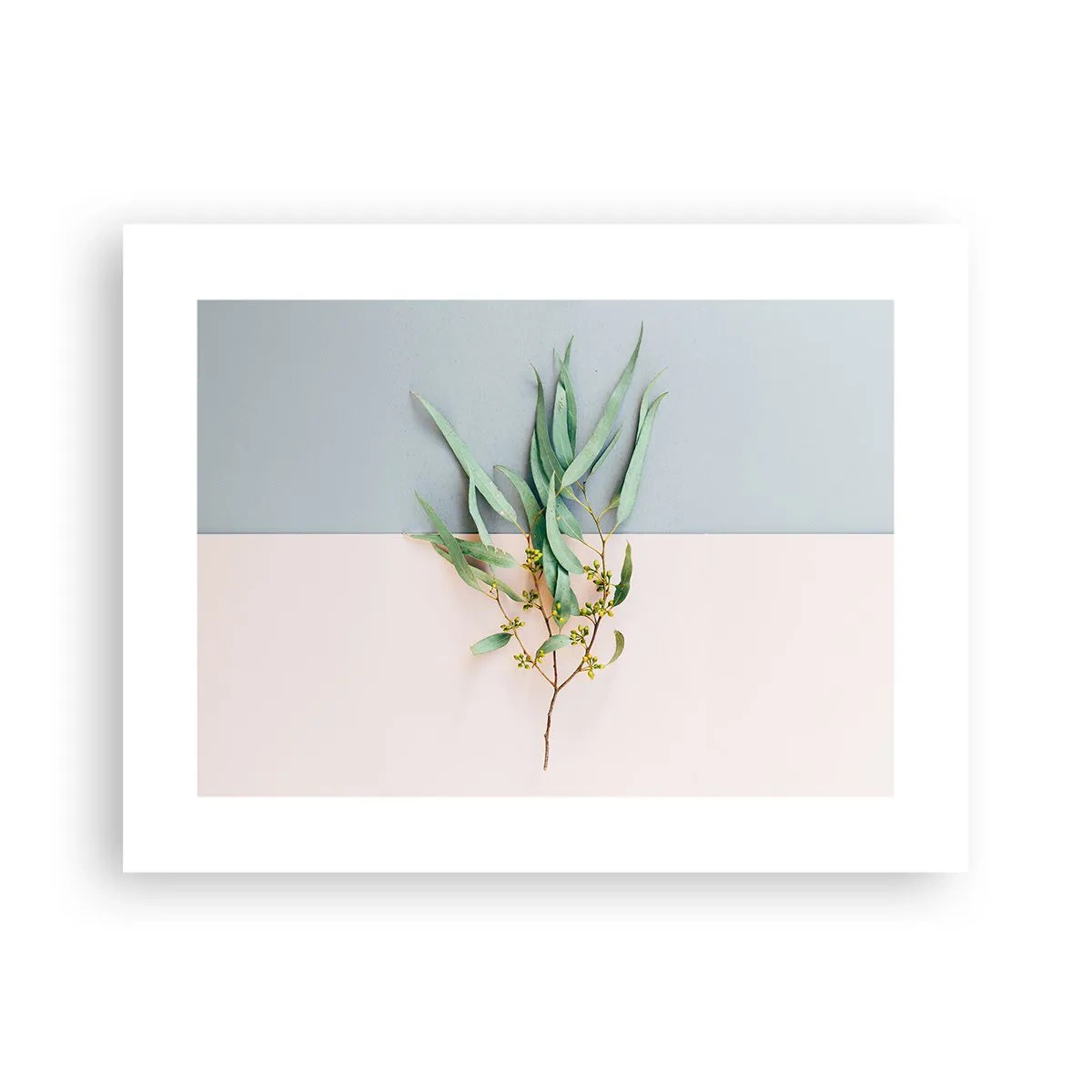 Poster - Delicatezza pastello - 40x30 cm