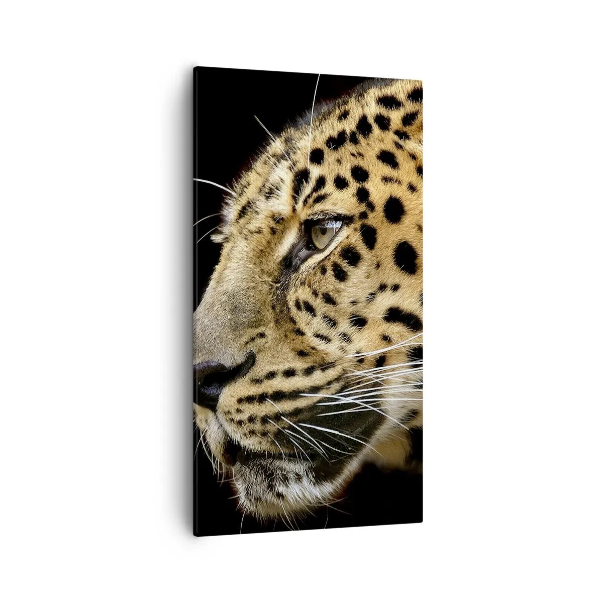 Quadro su tela - Stampe su Tela - Calmo, concentrato, pronto - 55x100 cm