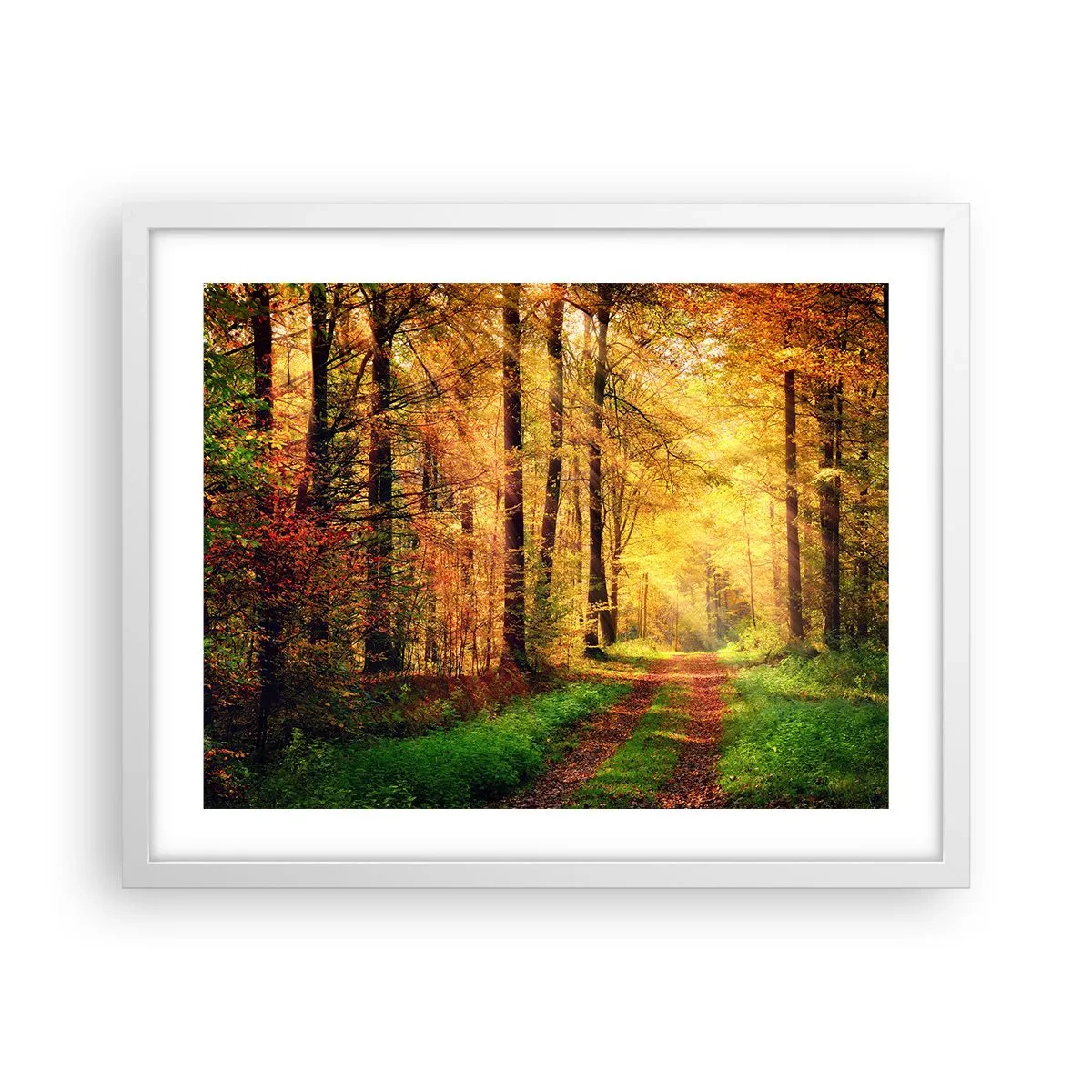 Poster in cornice bianca - Il silenzio d'oro del bosco - 50x40 cm