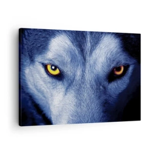 Quadro su tela - Stampe su Tela - Primo piano dello sguardo intenso di un lupo su uno sfondo scuro - 70x50cm - Sguardo ipnotico - Decorazione murale moderna per soggiorno e camera da letto ARTTOR