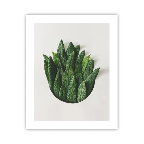 Poster - Curiosità irrefrenabile - 40x50 cm