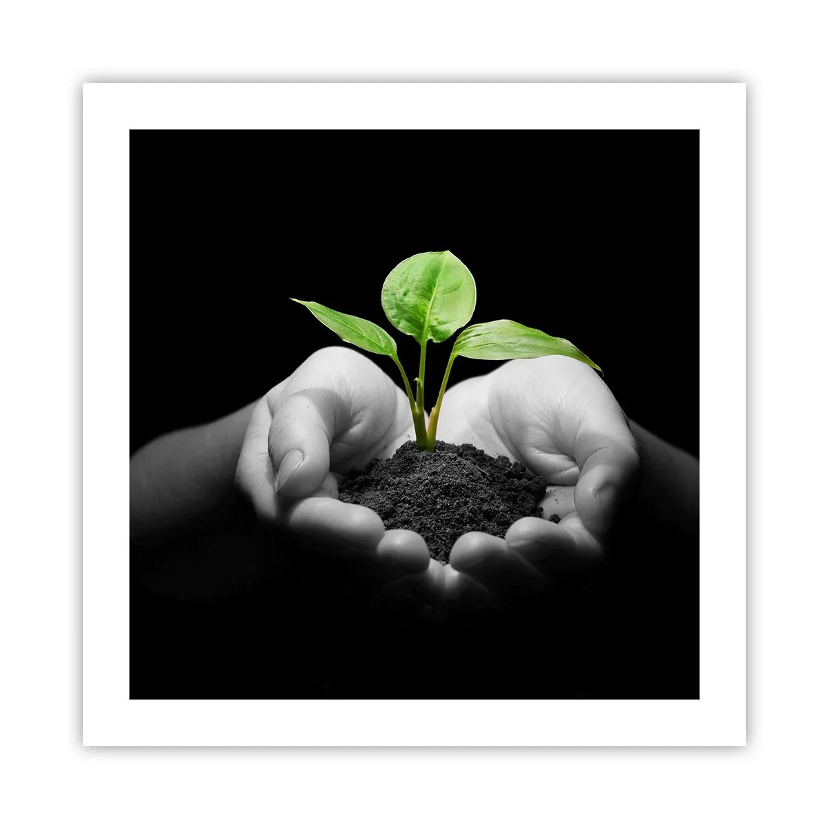 Poster - Amo la natura, la proteggo - 50x50 cm